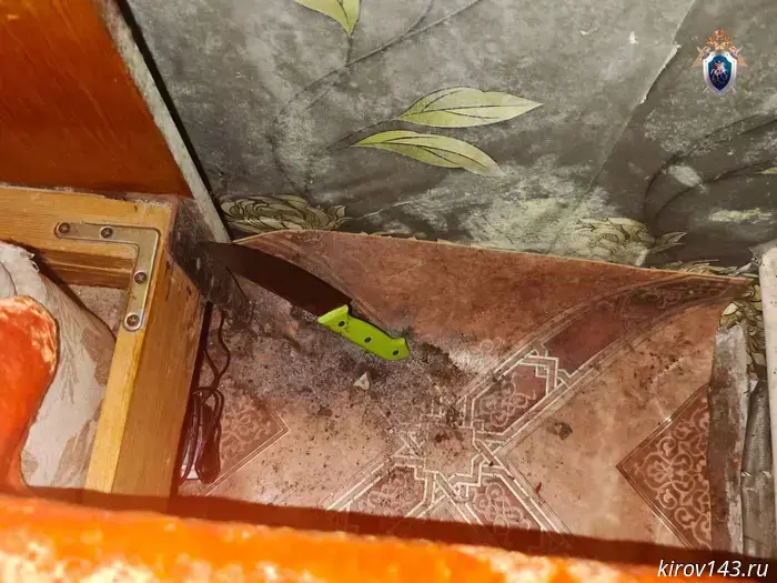 In the Orichevsky District a woman killed her live-in partner.