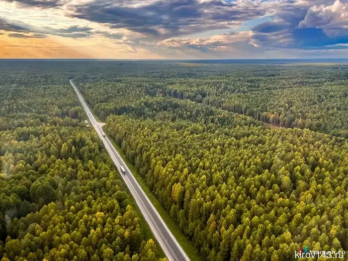 Курьера обнаружили мертвым в автомобиле на дороге в Кировской области.