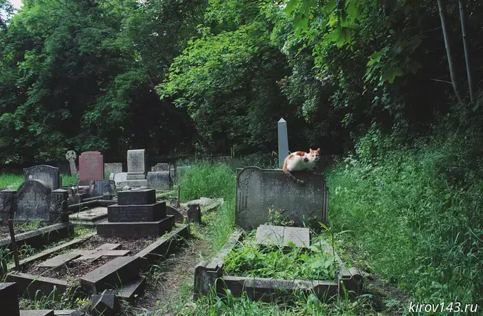 Kirov residents were forbidden to enter cemeteries because of garbage