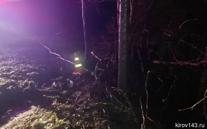 В результате дорожно-транспортного происшествия в Верхошижемском районе пострадал 46-летний мужчина.