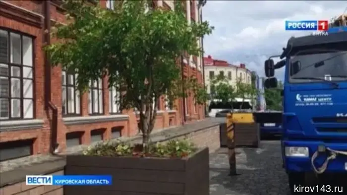В Кирове планируют высадить более 34 тысяч цветов