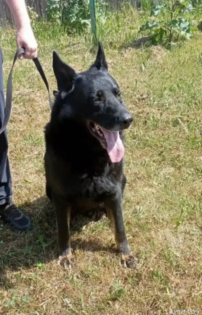 The police are looking for a new home for Eron.