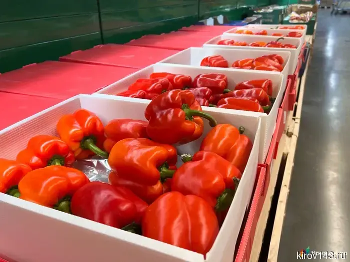Pepper - minus 25%, cruises - plus 23%: Kirovstat published April prices