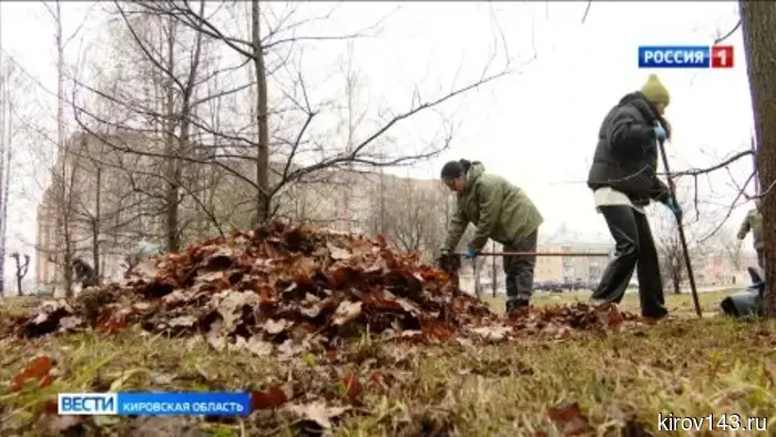 В Кирове на территории будущей «Аллеи Славы» состоялся субботник.