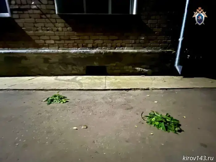 A one-year-old baby fell out of a window in Kirov.