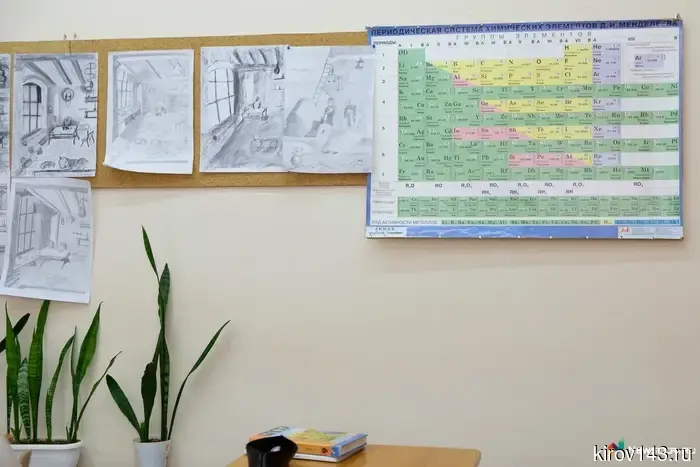Another 24 graduates from the Kirov region scored 100 points on the Unified State Exam.