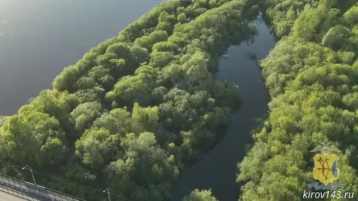 Teenagers got lost in a swampy grove near the Old Bridge