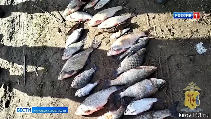 В Слободском районе полицейские задержали браконьеров