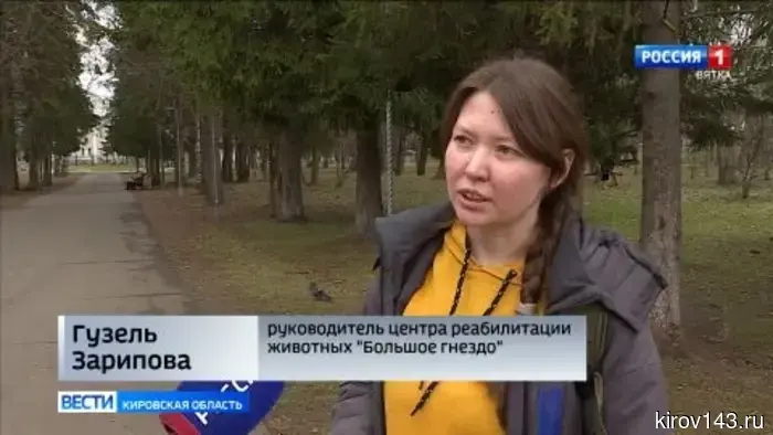 Мошенники представляются волонтерами центра «Большое гнездо»