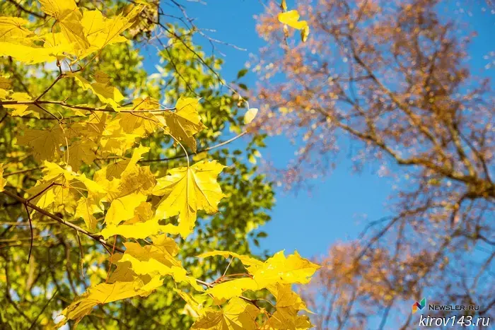 September 23 — the last warm day of autumn in Kirov