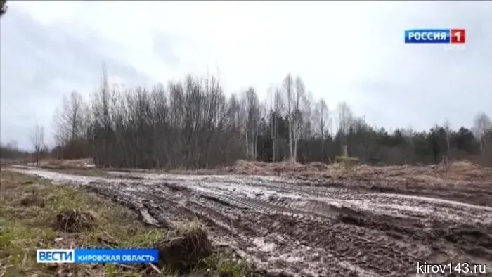 Путь к деревне Хорошавины в Оричевском районе приведут в порядок.