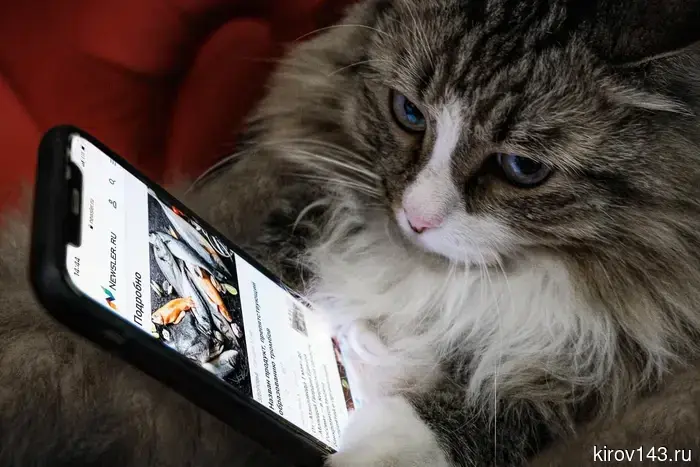 В Минцифры увеличили количество «белых списков».