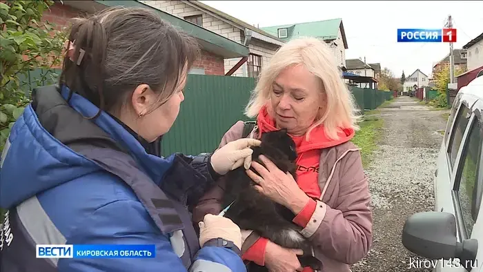 В течение месяца в Кировской области будет осуществляться выездная вакцинация от бешенства.
