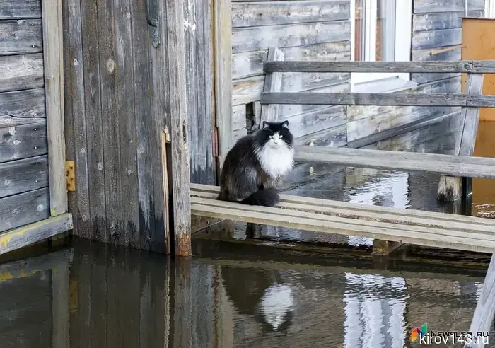 In the Kirov region, flood placement points were checked.