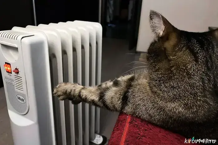 In Kirov, they have begun turning on the heating in social facilities.