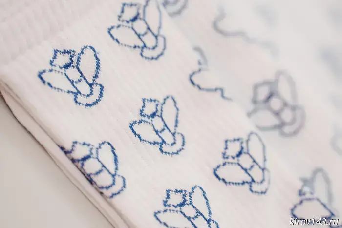 Научный стендап, организованный СНО ВятГУ, стал замечательным новогодним подарком для всех любителей интеллектуального шоу.