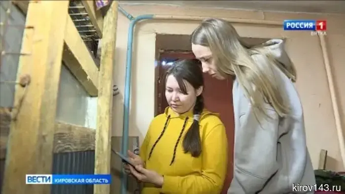 В «Большом гнезде» выхаживают котенка рыси, пойманного в Кирове