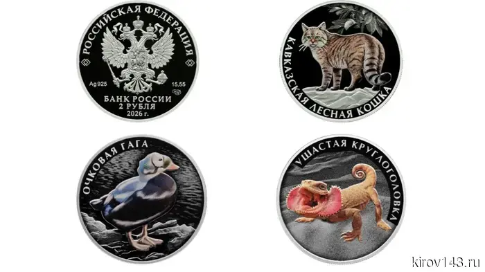 «Круглоголовка и очковая гага»: Банк России начнет выпуск монет с изображением редких животных.