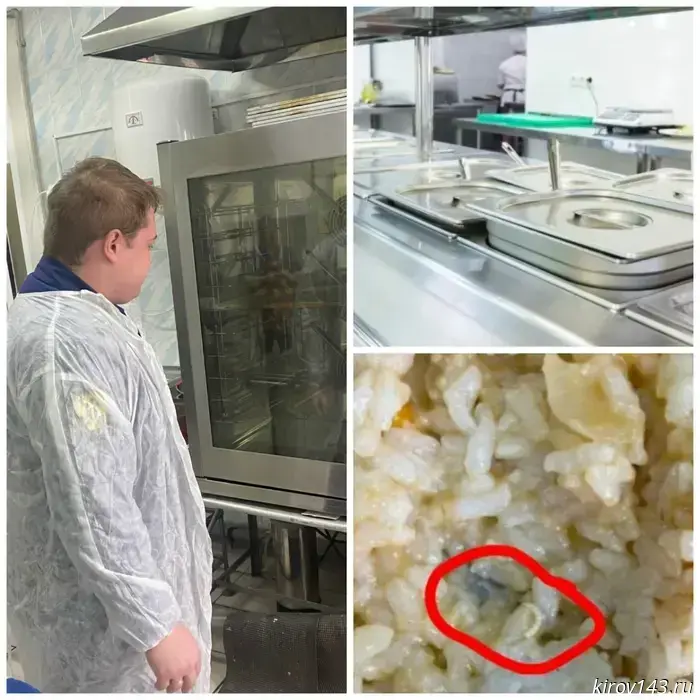 The prosecutor's office confirmed the presence of larvae in schoolchildren's food.