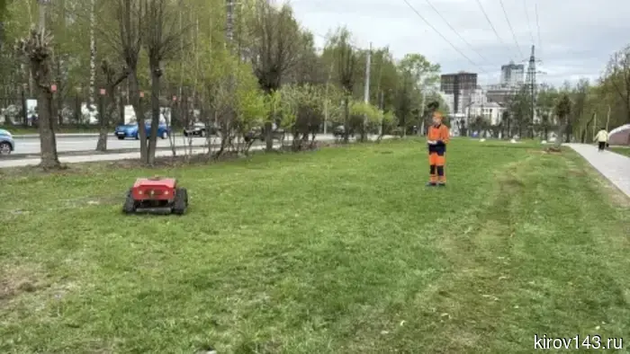 В Кирове подрядчики начали косить газоны