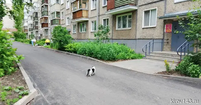 В Кирове успешно реализовали около половины проектов по поддержке местных инициатив.