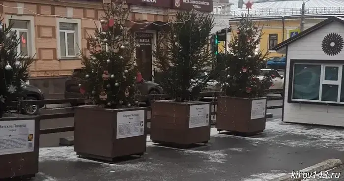 В Кирове определили самые красивые новогодние ели области.