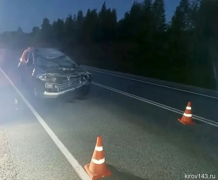 В Юрьянском районе случилась авария с участием лося.