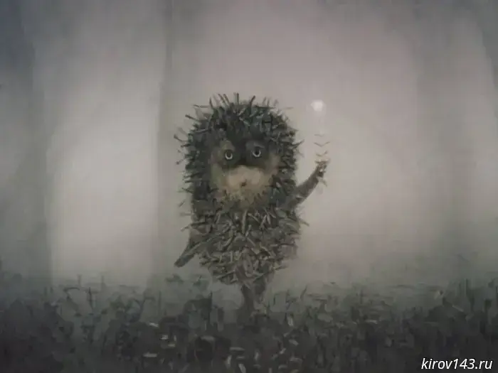 Hedgehog in the Fog — 50 years