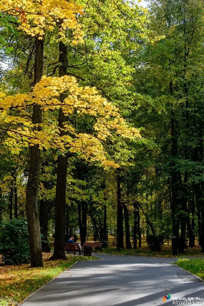 A new park has appeared on the site of a vacant lot in Raduzhny.