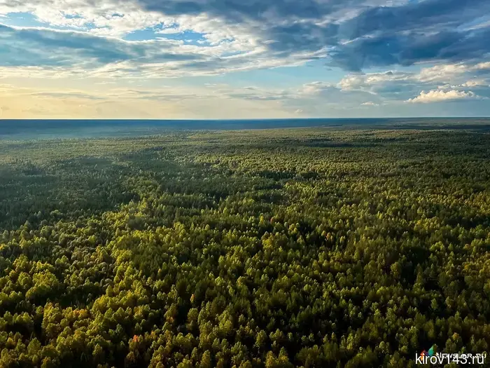 40 thousand Kirov residents became part of the "Postal Forest"