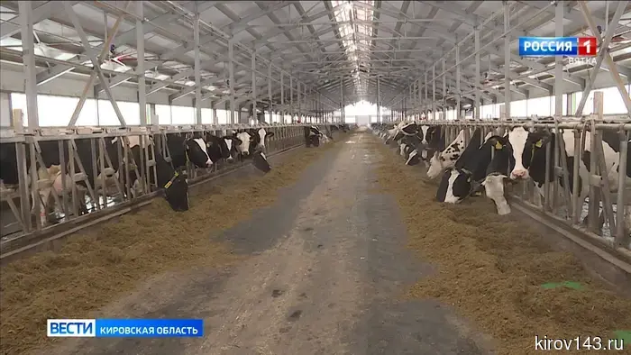 В Кировской области возводят три новых молочных комплекса.