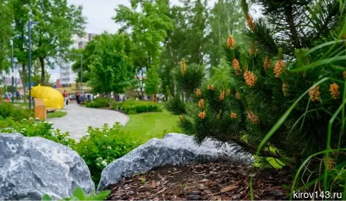 КСМ подарил городу сквер «Видный»
