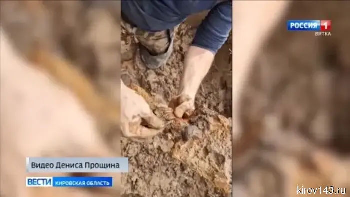Поисковые отряды Кировской области приняли участие в поисковой экспедиции «Вахта Памяти»