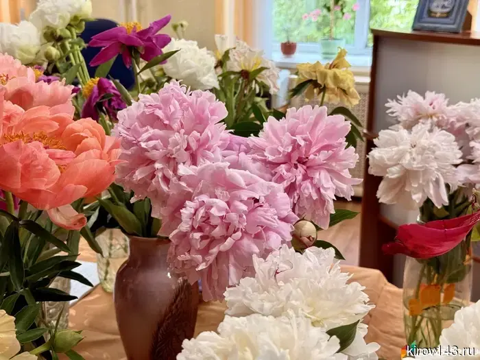 In Gertsenka, a peony paradise has blossomed.