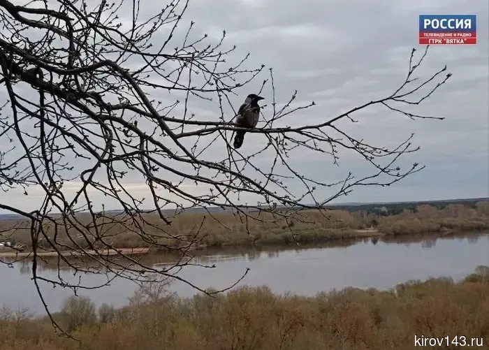На реках Кировской области продолжается ледоход и подъём уровня воды