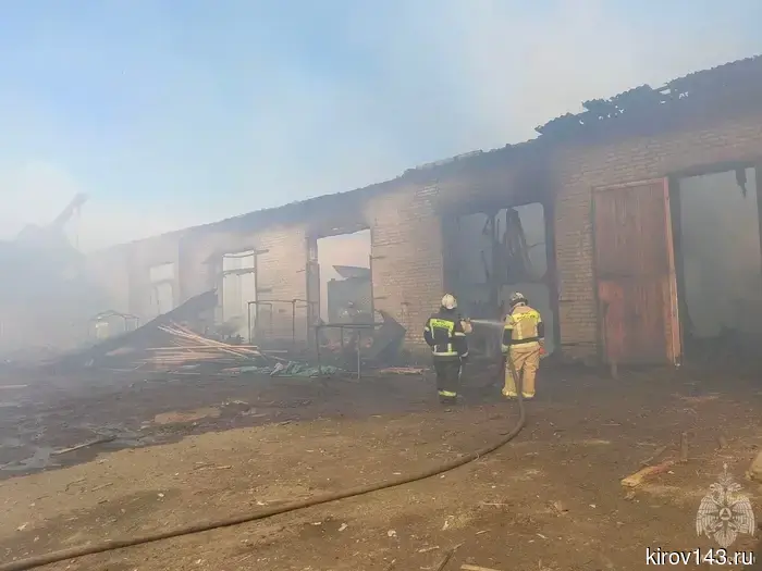 В Лузском районе произошёл пожар в цехе деревообработки.