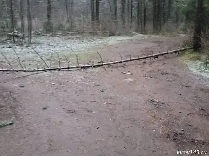 Oleg Valenchuk: We constantly monitor the condition of the "Health Trail" in Poroshino