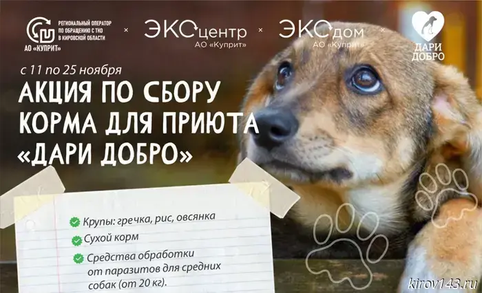 Кировчан приглашают участвовать в акции по сбору корма для животных.