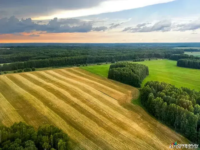 The area of quarantine zones for nematodes has been increased in the Kirov region