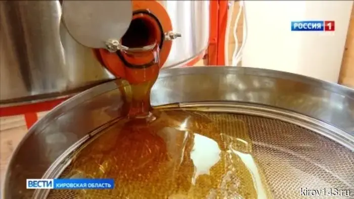 Пчеловоды Кировской области собирают урожай мёда