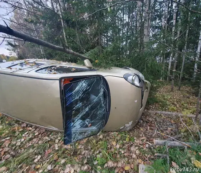 Пьяный автомобилист на «Тойоте» едва не попал в аварию на шоссе.
