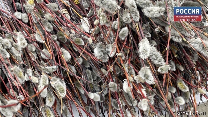 Сегодня православные верующие отмечают Вербное воскресенье