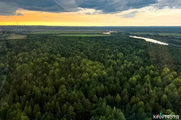 In the Kirov region, they want to create a national park.