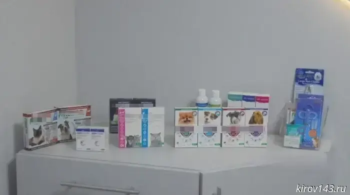 Хозяина кировской ветклиники наказали за продажу лекарств для животных без лицензии