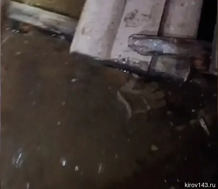 Flies and a drowned rat: what was found in the basement at Oktyabrsky, 53 after the management company's report