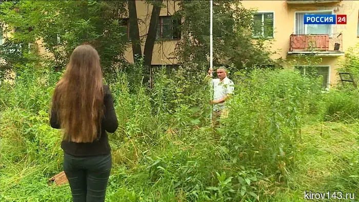В Кирове оценили качество mowing травы.