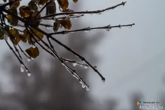 The weather forecast for Kirov for the week of December 1–7 has been released.