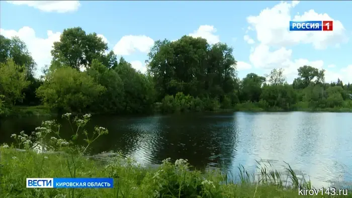 В деревне Кокшага после пикника на берегу пруда скончалась женщина.