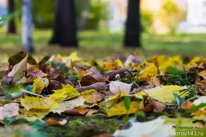 Frost and fog are expected in Kirov and the region.