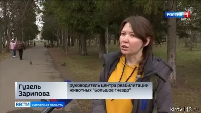Мошенники представляются волонтерами центра «Большое гнездо»